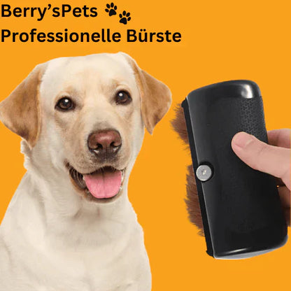 🔥Buy 2 Get 1 Free🔥Pet Professional brush