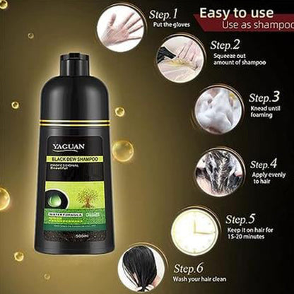 🌿2025 New Arrival🌿Plant-Based Gray Coverage Hair Dye Shampoo