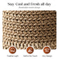 🔥 Hot Sale 49% OFF🔥Elegant Woven Straw Sun Hat with Bow