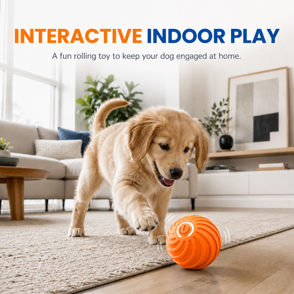 🏆Hot Sale 50% OFF 🐶🐾Smart Interactive Bouncing Ball
