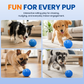 🏆Hot Sale 50% OFF 🐶🐾Smart Interactive Bouncing Ball