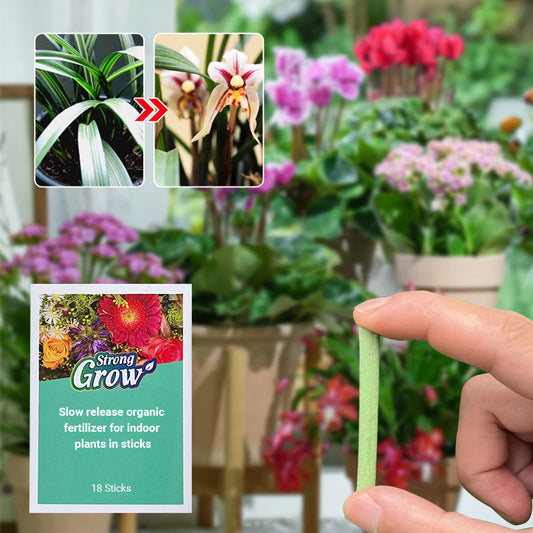 💥 50%OFF💥Slow-Release Organic Fertilizer In Stick Form For Indoor Plants