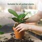 💥 50%OFF💥Slow-Release Organic Fertilizer In Stick Form For Indoor Plants