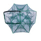 🔥HOT SALE🔥Auto-Foldable Strengthened Fishing Trap Net