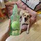 🐶HOT SALE 49% OFF🎁Chew & Squeeze Buddy Play Bottle Toy