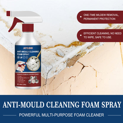 🎊BUY 1 GET 1 FREE🎊Anti-Mould Cleaning Foam Spray