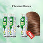 🔥Buy 2 Get 1 Free🔥Pure Plant Extract Bubble Hair Dye