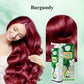 🔥Buy 2 Get 1 Free🔥Pure Plant Extract Bubble Hair Dye