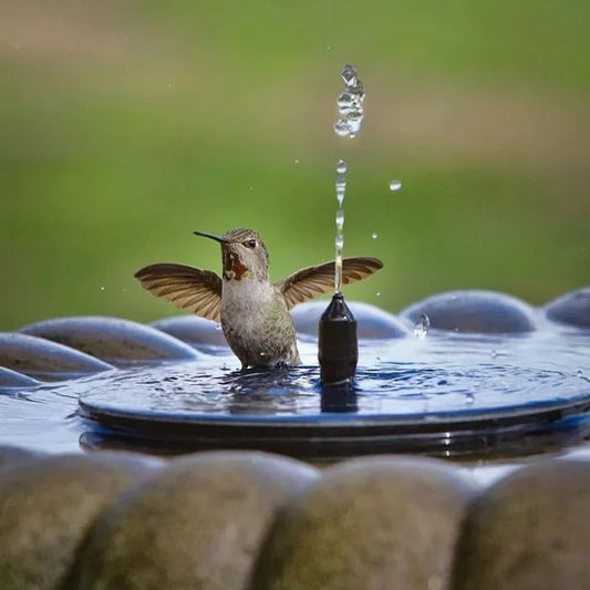 ✨Last Day 50% OFF✨Solar Powered Fountain