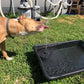 ✨Last Day 50% OFF✨Solar Powered Fountain