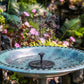 ✨Last Day 50% OFF✨Solar Powered Fountain