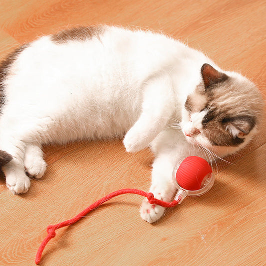 🌲Christmas Pro🐱Buy 2 Get 1 Free🐶Smart Automatic Rolling Pet Ball