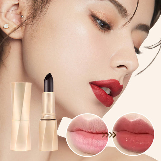 🎉Holiday Sale🎉Multi-Functional Long-Lasting Color Lipstick