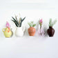 🌺Mini Ceramic Vase Fridge Magnet