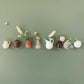 🌺Mini Ceramic Vase Fridge Magnet
