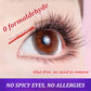 🎉Buy 1 Get 1 Free🎉36PCS Self-Adhesive Glue-Free Individual Cluster Lashes Kit