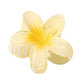 🌷Fashionable Summer Girl🌸Flower Hair Clip