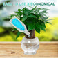 ✨Buy 1 Get 1 Free✨Hydroponic Nutrient Solution for Plant Growth