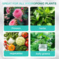 ✨Buy 1 Get 1 Free✨Hydroponic Nutrient Solution for Plant Growth