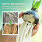 ✨Buy 1 Get 1 Free✨Hydroponic Nutrient Solution for Plant Growth