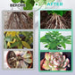 ✨Buy 1 Get 1 Free✨Hydroponic Nutrient Solution for Plant Growth