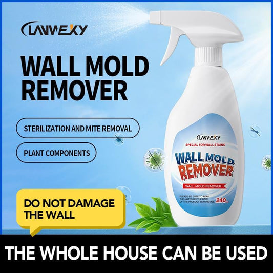 🔥Buy 2 Get 1 Free🔥Highly Effective Mould Removal Spray