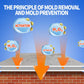 🔥Buy 2 Get 1 Free🔥Highly Effective Mould Removal Spray