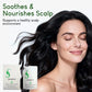 ⚡Buy 2 Get 1 Free⚡Rosemary Amino Acid Hydrating Shampoo