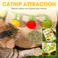 📢Buy 1 Get 1 Free✨Interactive Fruit-Shaped Catnip Toy String