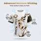 Men's Casual Top & Shorts 2-Piece Set