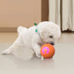 🐶Buy 2 Get 1 Free✨Auto-Bounce Smart Pet Ball – Hours of Solo Play