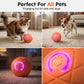 🐶Buy 2 Get 1 Free✨Auto-Bounce Smart Pet Ball – Hours of Solo Play