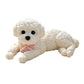 Cute Squishy Teddy Dog Stress Relief Toy