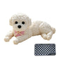 Cute Squishy Teddy Dog Stress Relief Toy