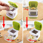 Quick-Press Garlic Chopper with Container
