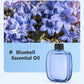 🥳100K+ SOLD🌿Automatic Aromatherapy Diffuser🥰
