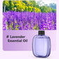 🥳100K+ SOLD🌿Automatic Aromatherapy Diffuser🥰