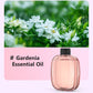 🥳100K+ SOLD🌿Automatic Aromatherapy Diffuser🥰