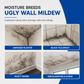 ☑️Buy 2 Get 1 Free💦Multi-Purpose Mold & Mildew Remover Spray🥰No More Mold and Mildew Problems