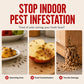Pumpkin Shaped Indoor Fruit Fly Trap